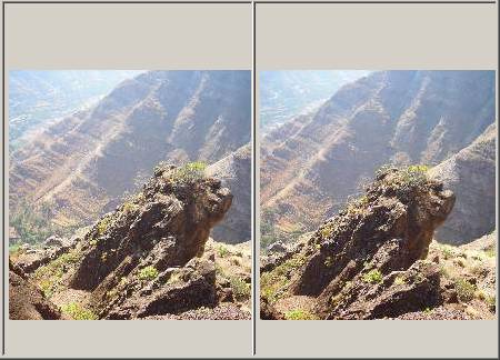 stereo pair of lion rock