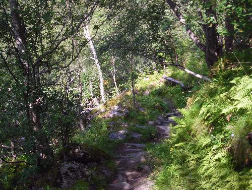 Monks' steps